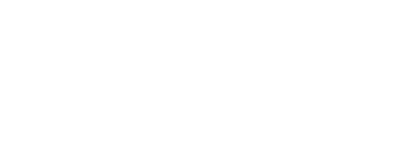 Logo bianco EF